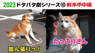 2023狂犬病予防注射会場のドタバタ劇⑩ 射水市中編