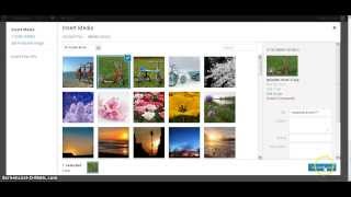 How to Create Grid Gallery with Pagination