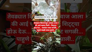 The Wedding Was Almost Hereshort funny motivation comedy jokes funnyreel ytshorts cute