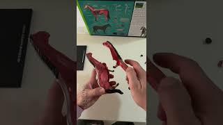 Anatomía Del Caballo En 4D. Visión Horse. Anatomy Model. El Juguete Ideal Para Aprender