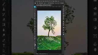 Complex Tree Selection Photoshop tutorial
