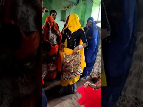 Desi Dance Ladies District Dholpur Rajasthan