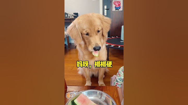 养了两个孩子，每天都想着怎么把“一碗水端平”#shorts