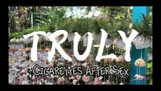 Cigarettes After Sex - Truly (Lyrics)