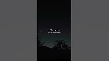 تلاوه عطره وهادئه ومريحه للنفس لسوره " العاديات " 🌙💛 | القارئ عبدالرحمن مسعد 💫💙