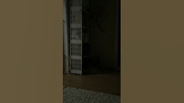 FIRST VIDEO!*awkward*!(read desc. to see more about my channel)