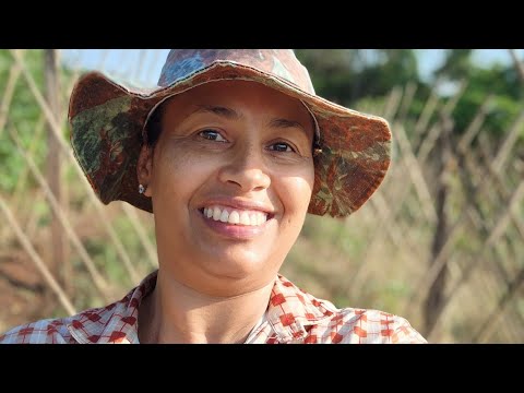 Renovação Sustentável: Desmanchando e Plantando Abacaxi.