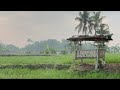 MUEL CHAN sedang live sekarang!