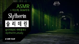 [ASMR] 넌 더 위대해질 수 있어, 정신 차려.. 슬리 데린 학생들의 새벽 공부2 🐍 Harry potter, slytherin, ambience, fantasy, study screenshot 5