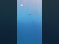 Deep Blue Red Sea
