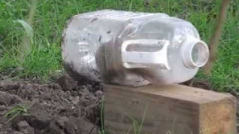 Catching Red Squirrels and moving them out back