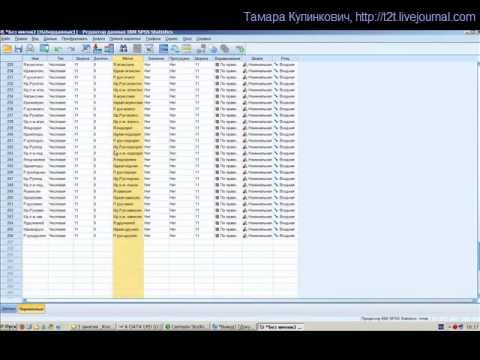Ввод данных в SPSS. Начало работы.wmv