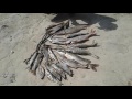 Рыбалка на щучем озере ЮКО шымкент