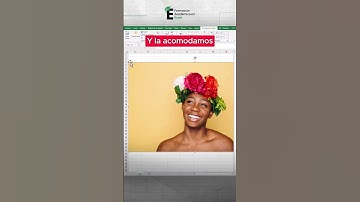 Quita fondos a imágenes en Excel ✅ #excel #excelconsejos #exceltutorial