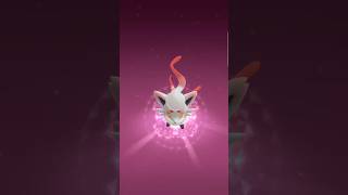 Hisuian Zorua 🤩 in #pokemomgo #shorts #pokemon