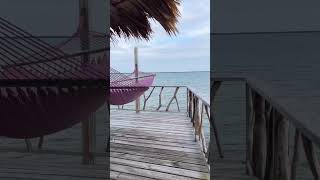 We honeymooned on a private island in Belize called Thatch Caye!