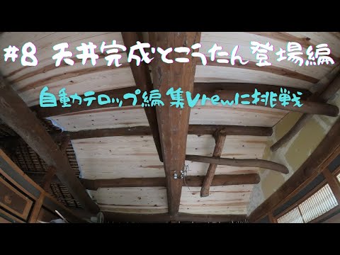 #8　一部屋目：天井羽目板張り完成とこうたん登場！