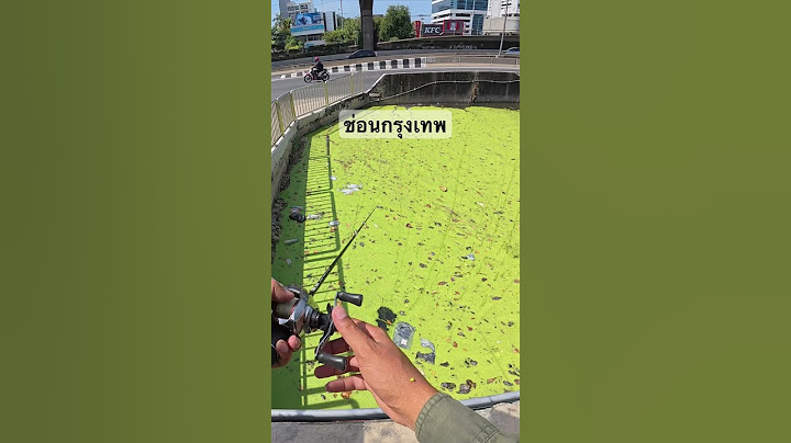 ตุ๊บบ #fishing #ตกปลา #fish #ปลาช่อน #shimano #streetfishing
