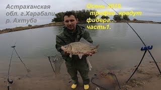 Рыбалка на Ахтубе 2019.  Харабали.  Кубок Ахтубы.