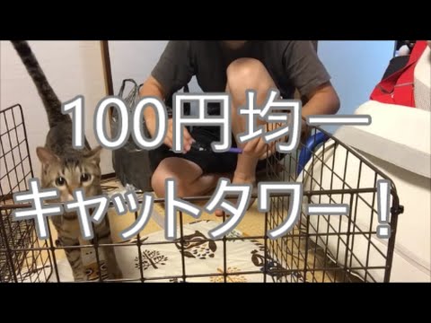 犬猫の激安自作ケージ 100均グッズキャットタワー手作り 手作りワイヤーネットでキャットタワー作り方 簡単diy Youtube
