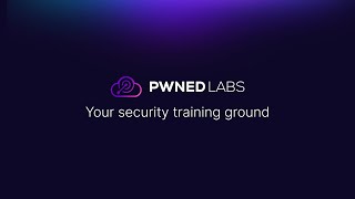 Details Introducing Pwned Labs Guide