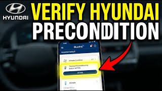 How to verify Hyundai Ioniq 5 thermal preconditioning with Bluelink - Beginner Guide