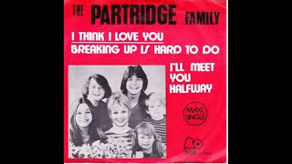David Cassidy - I'll meet you halfway (Live)
