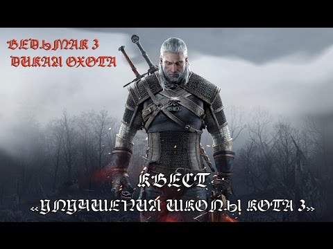 Ведьмак 3. Квест "Улучшения снаряжения школы кота 3"
