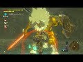 Gold lynel fight no damage  zelda breath of the wild