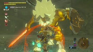 GOLD LYNEL FIGHT NO DAMAGE - Zelda Breath of the Wild