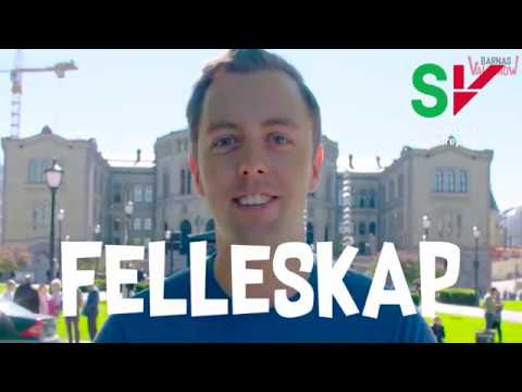 Video: Hva Er Sosionikk?