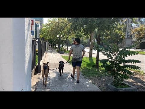 Joce Acuña y el Pececito por Los40 (05 de febrero)