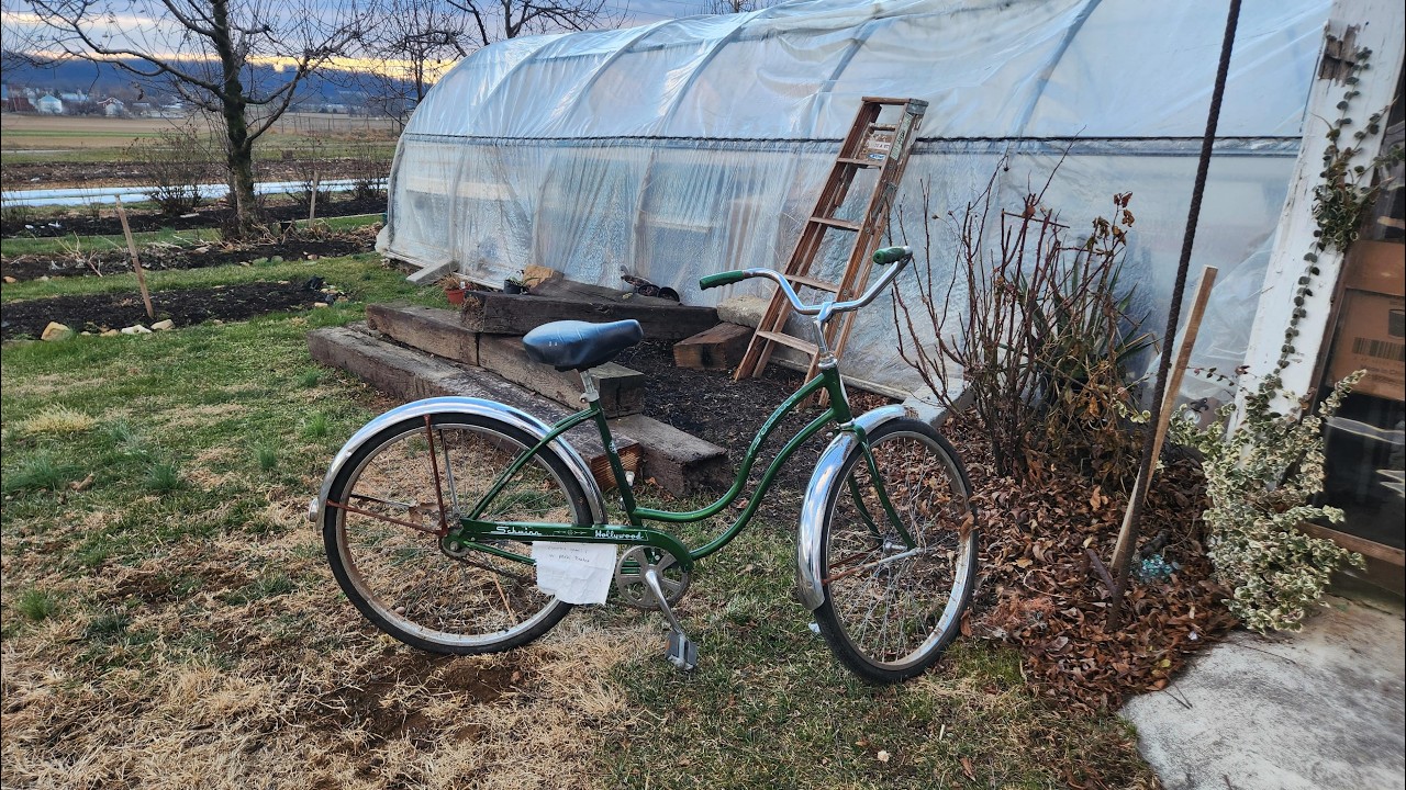 Follow Along Repair: Prepping a Schwinn Hollywood farmstand find!