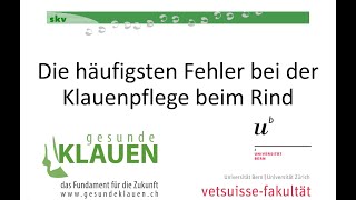 Die häufigsten Fehler bei der Klauenpflege beim Rind