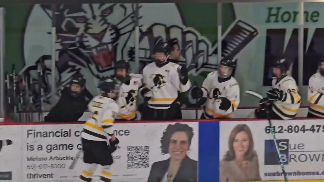 [District 2nd Place] Lightning Eagles AVB Bantam A vs Rosemount A 2/22/2026