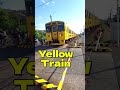 🌼🚃 DiselTrain【なのはな号】Urata Railroad Crossing Passage|【浦田踏切】を通過! 🚦✨
