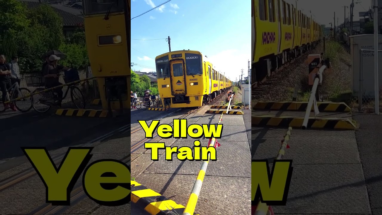 🌼🚃 DiselTrain【なのはな号】Urata Railroad Crossing Passage|【浦田踏切】を通過! 🚦✨