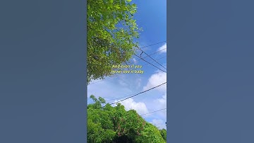 Thumbnail of 🥹💕#co2 #music #song #lyrics #prateekkuhad #edit #peace #edits #vibes #aesthetic #poetry #poet #cover