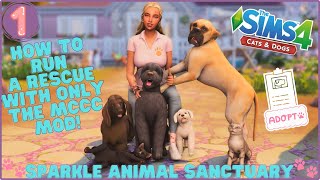 Running an Animal Rescue in The Sims 4 with ONLY ONE MOD! screenshot 5