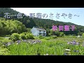 花一色 ~野菊のささやき~/松田聖子