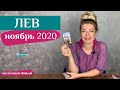 ЛЕВ 01-07 ноябрь 2020: таро расклад (гороскоп) на вторую неделю НОЯБРЯ от Анны Ефремовой