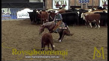 Roysaboonsmal 2009 NCHA Derby