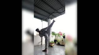 Karate Challenge 30 Days. Day 21 80 Mawashi Geri Gyaku Geri