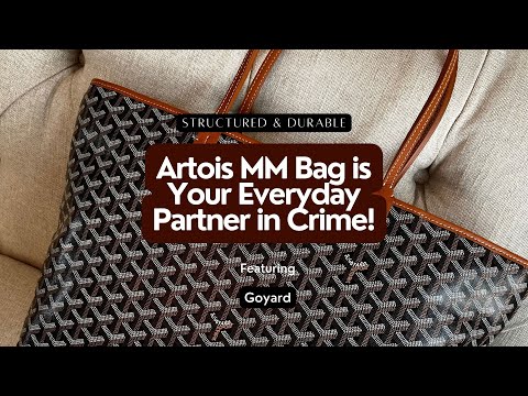 GOYARD ARTOIS MM (NOIR/TAN) 2022 – THE LUX THEORY