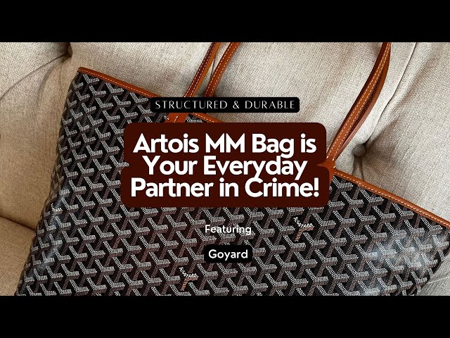 Goyard Black Artois Tote MM Bag – The Closet