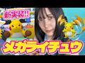 スカイツリーでメガライチュウX・Yのレイドディに参加してみた〜！【ポケモンGO】