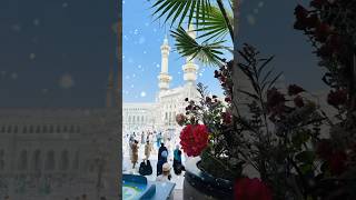 Two Holy Cities, One Faith — Makkah &amp; Madinah ✨