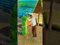 Watering on tree 🌲 amazing story video #magic #story #watering #videography #shorts