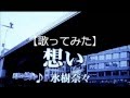 【歌ってみた】想い/水樹奈々