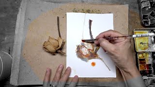 PROCESS: Daily Rose Watercolour Painting DAY 3203 (20240515WED)
